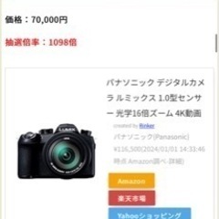 ヨドバシカメラ　2024年福箱　高画質レンズ一体型デジタルカメラの夢DC-FZ1000M2 の画像