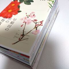 【1/6まで】早稲田学報16冊