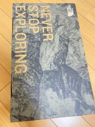 ☆ノースフェイス☆ スノーシューズ アウトドアシューズ