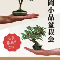 盆栽会の会員を募集中です！