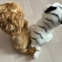 未使用　ホワイトタイガー　ライオン　ぬいぐるみ　セットの画像