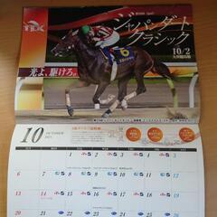 2024年 南関東競馬カレンダー　カレンダーセットで無料！の画像