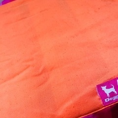 ペット用こたつの画像