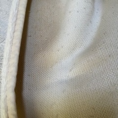 毛布のような敷きパッド　シングルサイズの画像