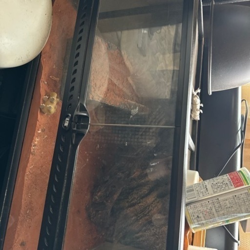 エキゾテラ 60✕30✕30ケージ