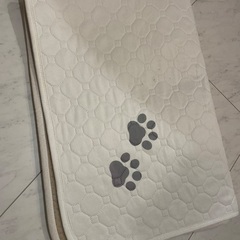 値下げ　ペット　犬　トイレマットLサイズ２枚Mサイズ２枚の画像