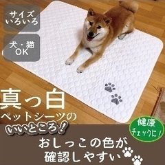 値下げ　ペット　犬　トイレマットLサイズ２枚Mサイズ２枚の画像