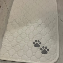 値下げ　ペット　犬　トイレマットLサイズ２枚Mサイズ２枚の画像