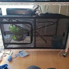 カメレオン飼育セット