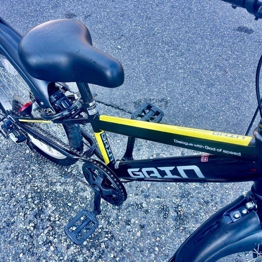 サカイサイクル子供用20インチGAINゲイン身長111～140cm程度 (値引き