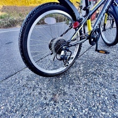 大切な サカイサイクル子供用20インチGAINゲイン身長111～140cm程度 自転車本体