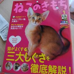 2015年度12巻「ねこのきもち」全巻揃っています。