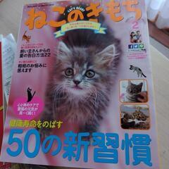 2015年度12巻「ねこのきもち」全巻揃っています。の画像