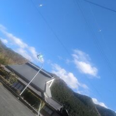 散歩しよー