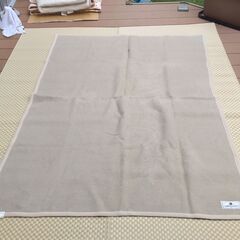 毛布（多少の傷あり）