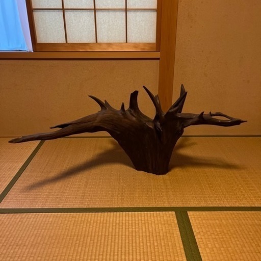 床の間　玄関　木根　オブジェ