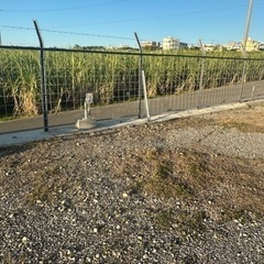 なみひらマーケット　出店者募集中！！！ − 沖縄県