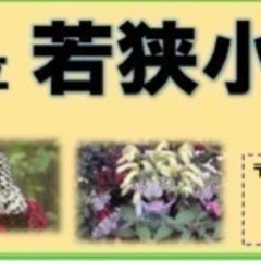 若狭小学校　1970〜71年生まれ　令和7年　4月19日！同窓会