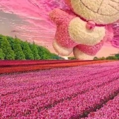 💞　ランチ友　募集　💞 - 熊本市