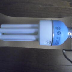 電球　けむNASIライト　ジャストタイム　クリーンの画像