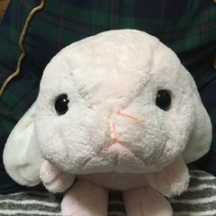ぽてうさろっぴーぬいぐるみ！の画像