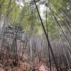 三滝山登山を通じて、歩き方や正しい道具の使い方を学びませんか？？(初めたての方、登山能力上げたい方向け)の画像