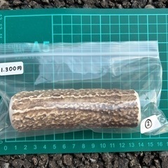 北海道エゾシカのツノ　犬用ガム