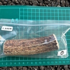 北海道エゾシカのツノ　犬用ガムの画像