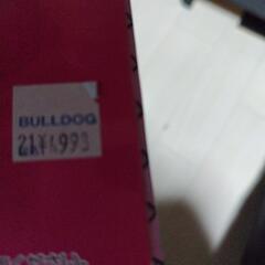 コスプレ　バニーガールの画像