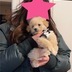 ランキングキーワードに紐づく投稿画像-子犬