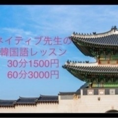 ネイティブ先生とマンツーマン韓国語レッスンの画像