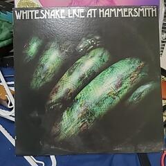 ホワイトスネイク  LIVE AT HAMMERSMITH