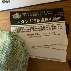 レバンガ北海道　1月28日チケット　2枚の画像