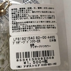 ブリザーブドフラワー　かすみ草　イヤリングの画像