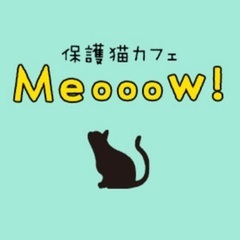 急募　保護猫カフェスタッフ募集