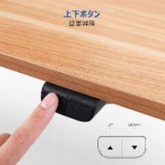 [未使用]学習机パソコンデスクFLEXISPOT 電動式昇降デスク EG1-Lightの画像