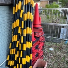 スポーツ 野球
