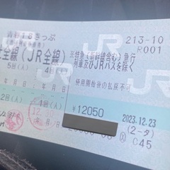 青春18きっぷ2回分なんと3000円送料込み
