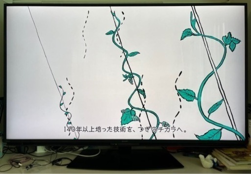 シャープ　AQUOS 4K 4T-C55EN1 [55インチ]