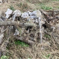薪　引き取りに来ていただける方の画像