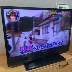 ブルーレイレコーダー内蔵 「スタンダード録画テレビ」  LCD-...