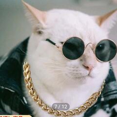 未開封新品　犬猫　オシャレ首輪　チェーンネックレス　サイズ【S】の画像
