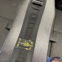 ゴールドジム　布トレーニングベルトの画像