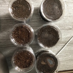 ヘラクレスオオカブト幼虫 1匹500円〜複数購入可 優良血統！