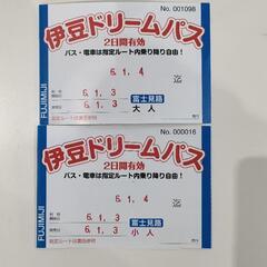 伊豆ドリームパス富士見路ルート1／4迄大1小1