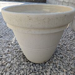 白の鉢植え 5000円