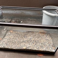 90cm水槽　カーブガラス　砂利付き