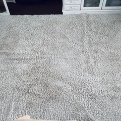 決まりました。ラグ 洗える シャギーラグ ラグ 200×250 カーペット マット 絨毯 ウォッシャブル 長方形 正方形 3畳 オシャレ おしゃれ 大きい 大きめ 夏 秋 冬 オールシーズン ふわふわの画像