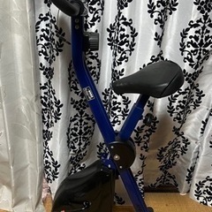 【お渡し済み】アルインコ フィットネスバイク AFB4715 重量14.5kg 最終値下げの画像