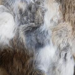 至急   大阪から(10月30日から11月4日まで)ラビットファー ショート丈の画像